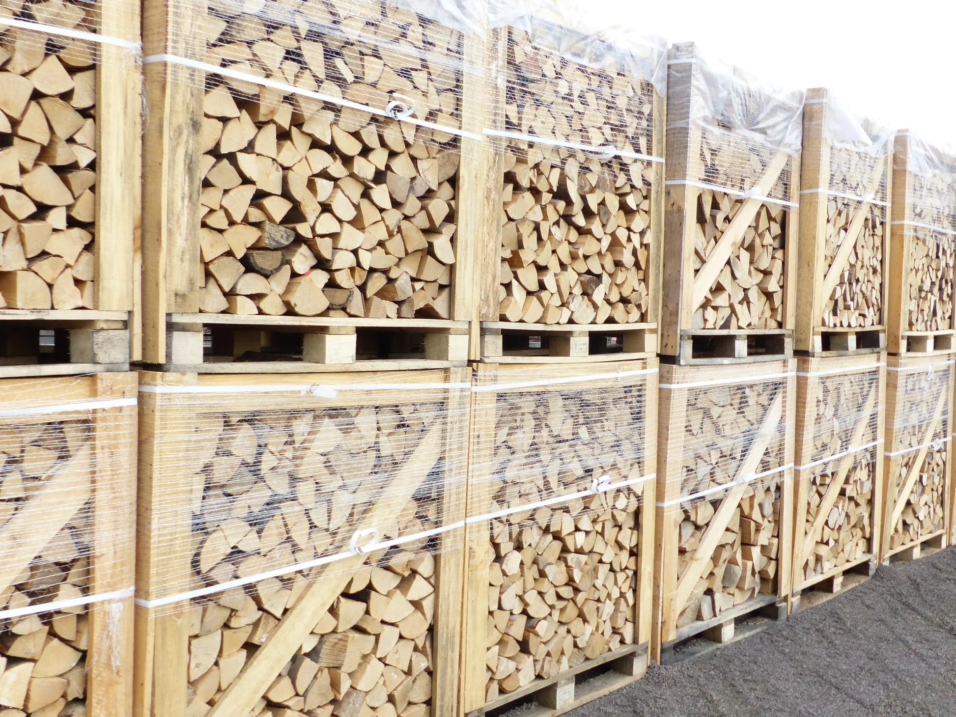1,6 SRM Kaminholz Brennholz Buche Trocken, Sofort Verwendbar, 25Cm